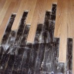 Project A: Replacing damaged floors